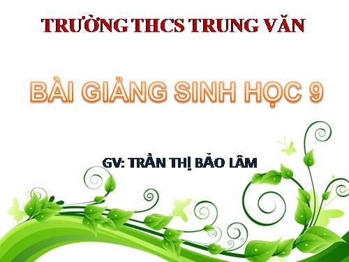 Bài 22. Đột biến cấu trúc nhiễm sắc thể