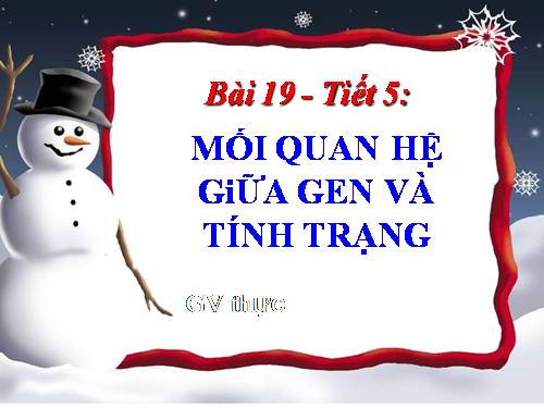 Bài 19. Mối quan hệ giữa gen và tính trạng