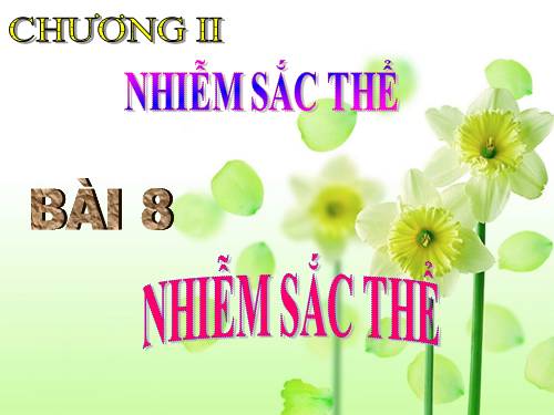 Bài 8. Nhiễm sắc thể