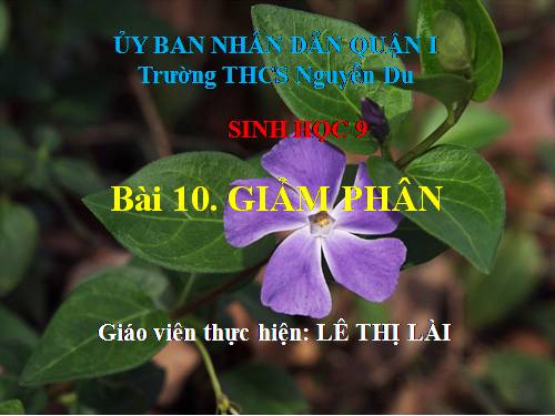 Bài 10. Giảm phân