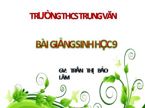 Bài 40. Ôn tập phần Di truyền và biến dị