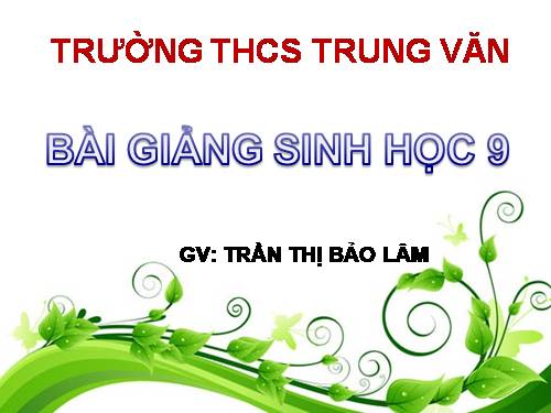 Bài 19. Mối quan hệ giữa gen và tính trạng