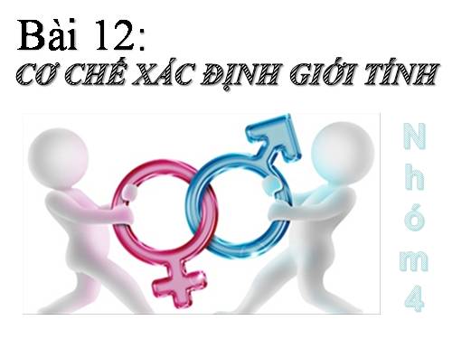 Bài 12. Cơ chế xác định giới tính