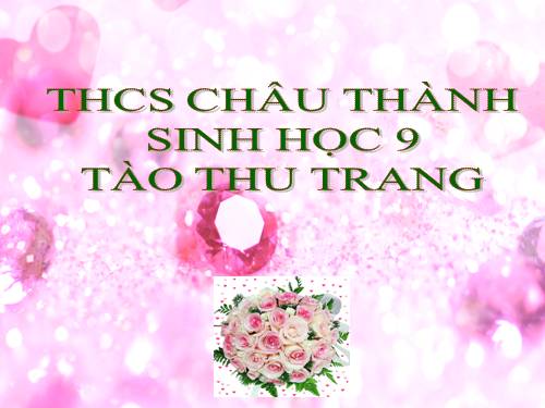 Bài 8. Nhiễm sắc thể