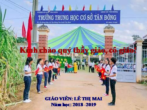 Bài 12. Cơ chế xác định giới tính