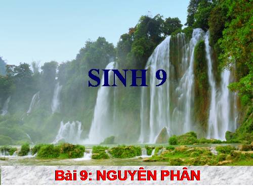 Bài 9. Nguyên phân