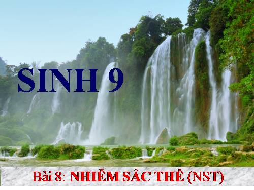 Bài 8. Nhiễm sắc thể