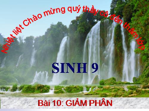 Bài 10. Giảm phân