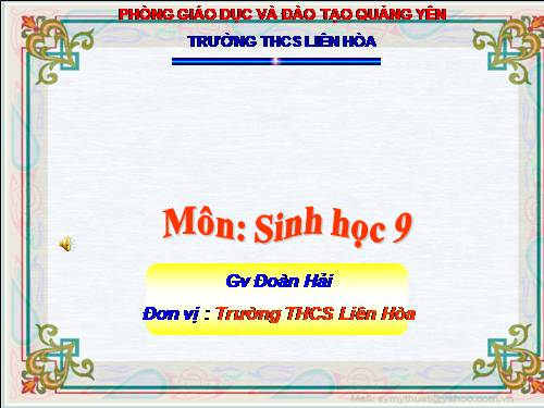 Bài 5. Lai hai cặp tính trạng (tiếp theo)