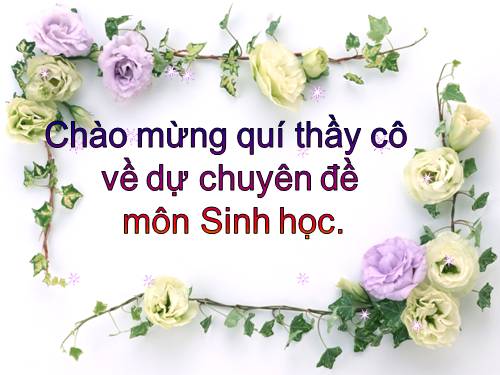 Bài 16. ADN và bản chất của gen