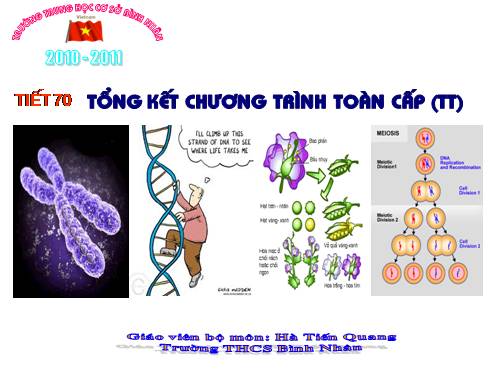 Bài 65. Tổng kết chương trình toàn cấp (tiếp theo)