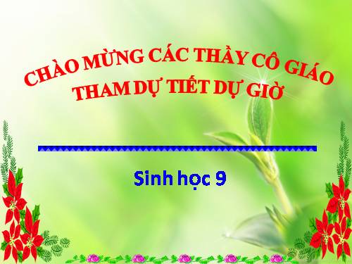 Bài 62. Thực hành: Vận dụng Luật Bảo vệ môi trường vào việc bảo vệ môi trường ở địa phương