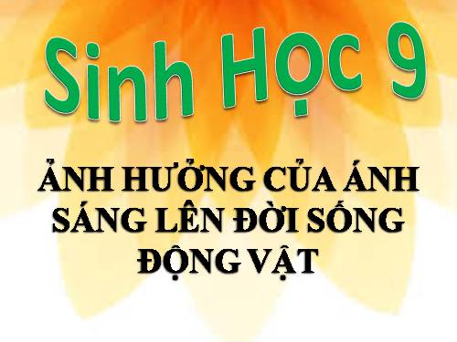 Bài 42. Ảnh hưởng của ánh sáng lên đời sống sinh vật