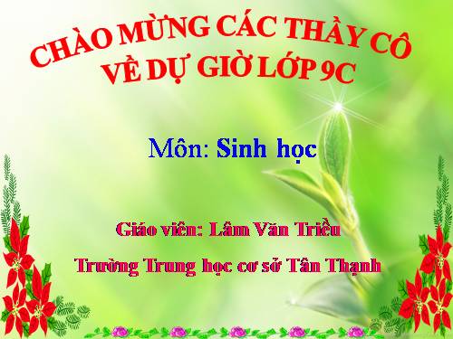 Bài 22. Đột biến cấu trúc nhiễm sắc thể