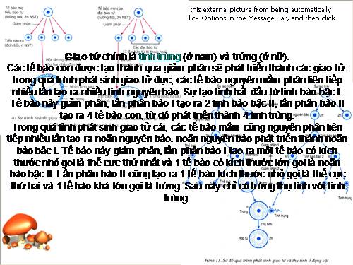 Bài 11. Phát sinh giao tử và thụ tinh