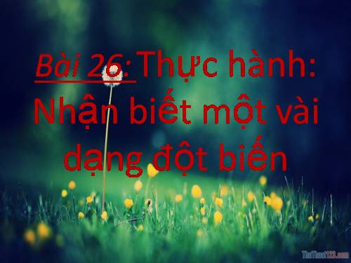Bài 26. Thực hành: Nhận biết một vài dạng đột biến