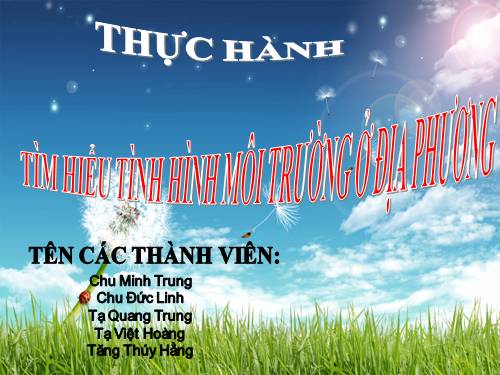 Bài 56. Thực hành: Tìm hiểu tình hình môi trường ở địa phương