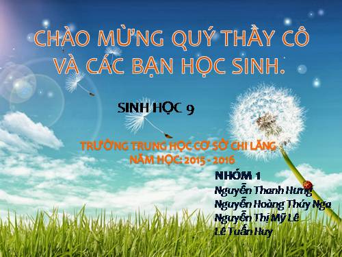 Bài 41. Môi trường và các nhân tố sinh thái