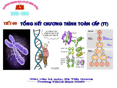 Ôn tập cuối năm
