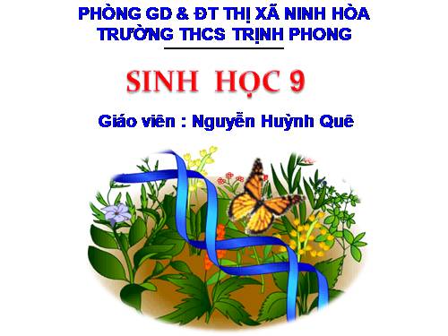 Bài 60. Bảo vệ đa dạng các hệ sinh thái