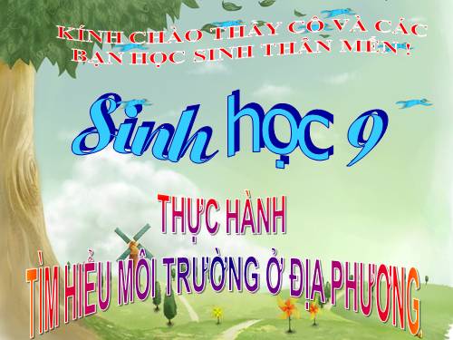 Bài 56. Thực hành: Tìm hiểu tình hình môi trường ở địa phương