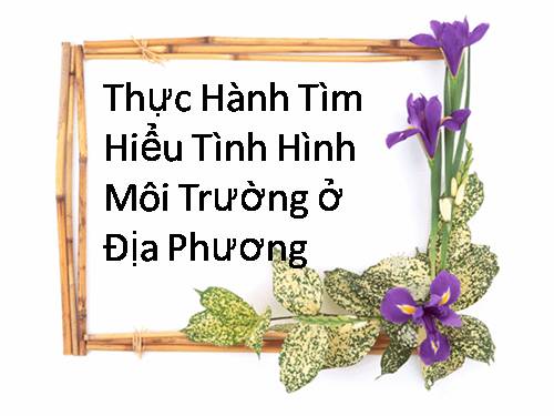 thực hành tìm hiểu môi trường ở địa phương