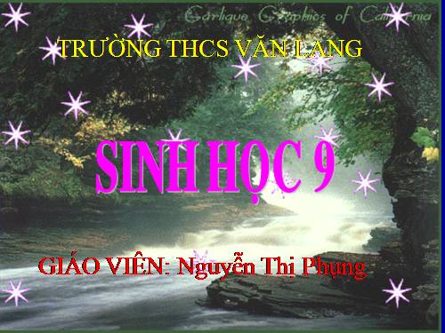 Bài 8. Nhiễm sắc thể