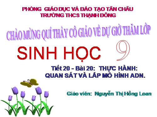 Bài 20. Thực hành: Quan sát và lắp mô hình ADN