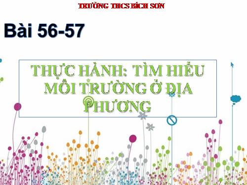 Bài 56. Thực hành: Tìm hiểu tình hình môi trường ở địa phương