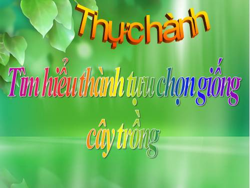 Bài 39. Thực hành: Tìm hiểu thành tựu chọn giống vật nuôi và cây trồng