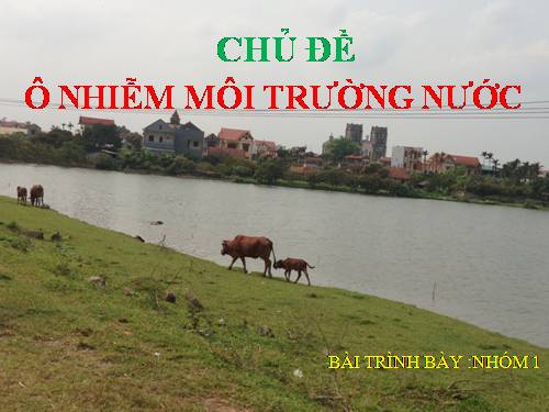 Bài 57. Thực hành: Tìm hiểu tình hình môi trường ở địa phương