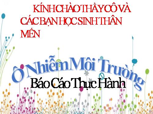 Bài 51. Thực hành: Hệ sinh thái