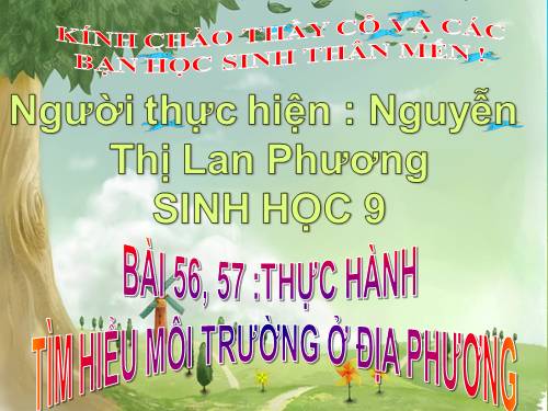 Bài 56. Thực hành: Tìm hiểu tình hình môi trường ở địa phương