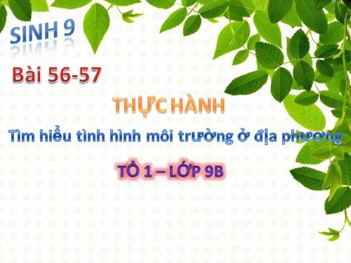 Bài 56. Thực hành: Tìm hiểu tình hình môi trường ở địa phương