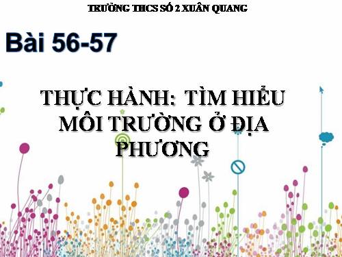 Bài 56. Thực hành: Tìm hiểu tình hình môi trường ở địa phương