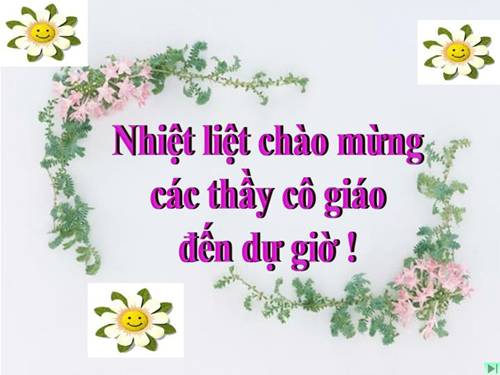 Bài 55. Ô nhiễm môi trường (tiếp theo)