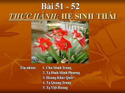 Bài 52. Thực hành: Hệ sinh thái