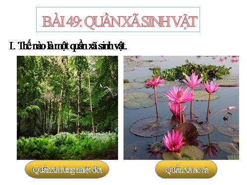 Bài 49. Quần xã sinh vật