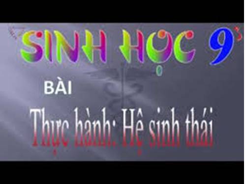 Bài 51. Thực hành: Hệ sinh thái