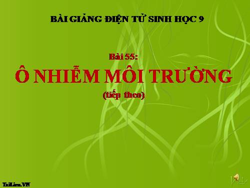 Bài 55. Ô nhiễm môi trường (tiếp theo)