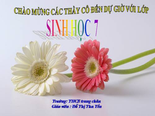 Bài 60. Bảo vệ đa dạng các hệ sinh thái