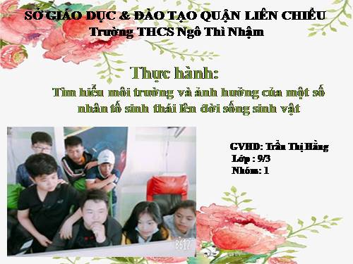 Bài 46. Thực hành: Tìm hiểu môi trường và ảnh hưởng của một số nhân tố sinh thái lên đời sống sinh vật