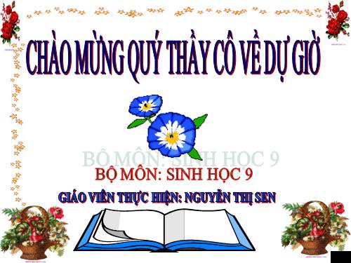 Bài 47. Quần thể sinh vật