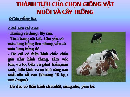 Bài 39. Thực hành: Tìm hiểu thành tựu chọn giống vật nuôi và cây trồng