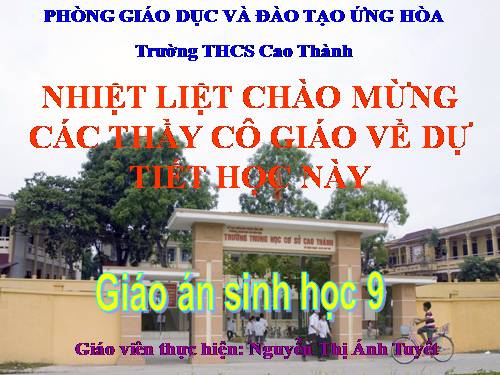 GIAO AN DU THI HOAN CHINH.ppt