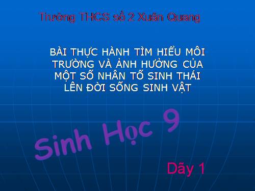 Bài 45. Thực hành: Tìm hiểu môi trường và ảnh hưởng của một số nhân tố sinh thái lên đời sống sinh vật