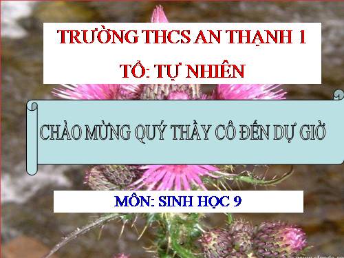 Bài 50. Hệ sinh thái