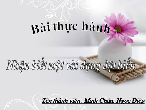 Bài 26. Thực hành: Nhận biết một vài dạng đột biến