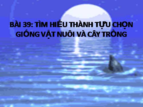 Bài 39. Thực hành: Tìm hiểu thành tựu chọn giống vật nuôi và cây trồng