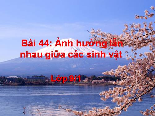 Bài 44. Ảnh hưởng lẫn nhau giữa các sinh vật